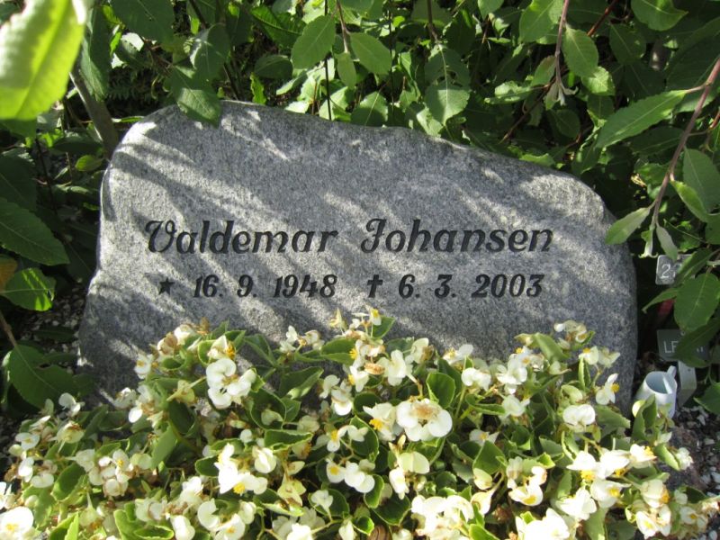 Valdemar Johansen  .JPG